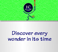 Slogan for travelling biz