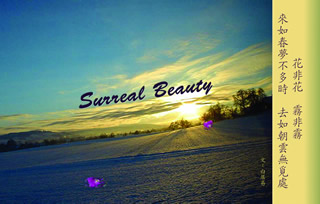 surreal beauty